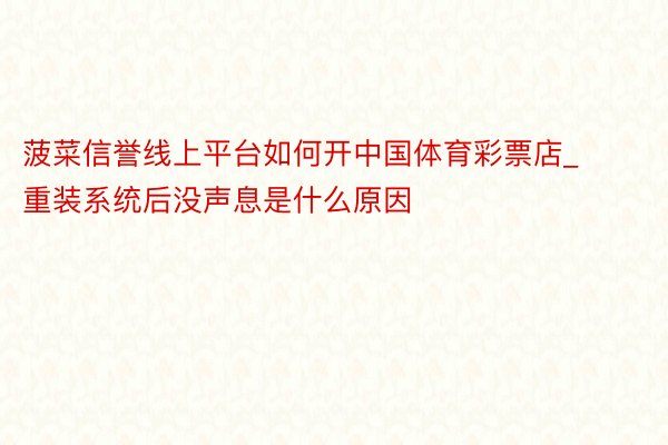 菠菜信誉线上平台如何开中国体育彩票店_重装系统后没声息是什么原因